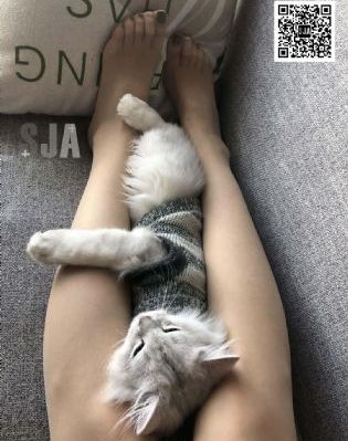 720天堂在线_720完整视频观看